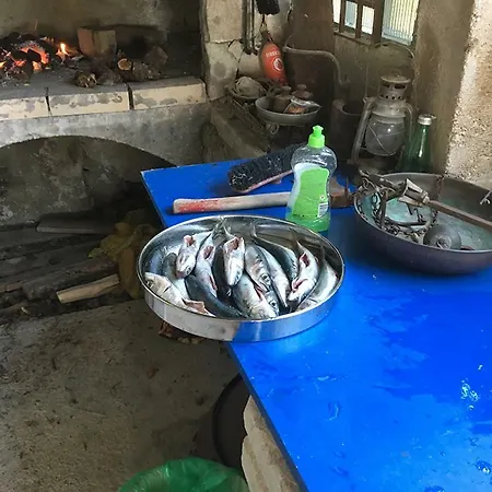 Apartman G.bakovic *