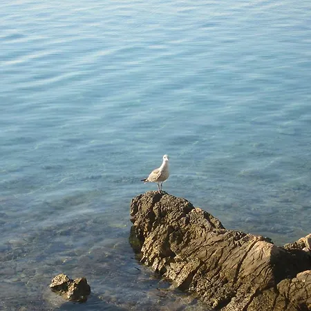 Appartamento G.bakovic *