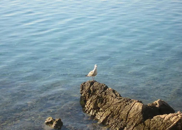 Appartement G.bakovic *